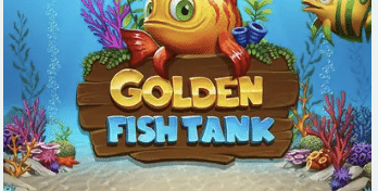 Golden fish tank slot